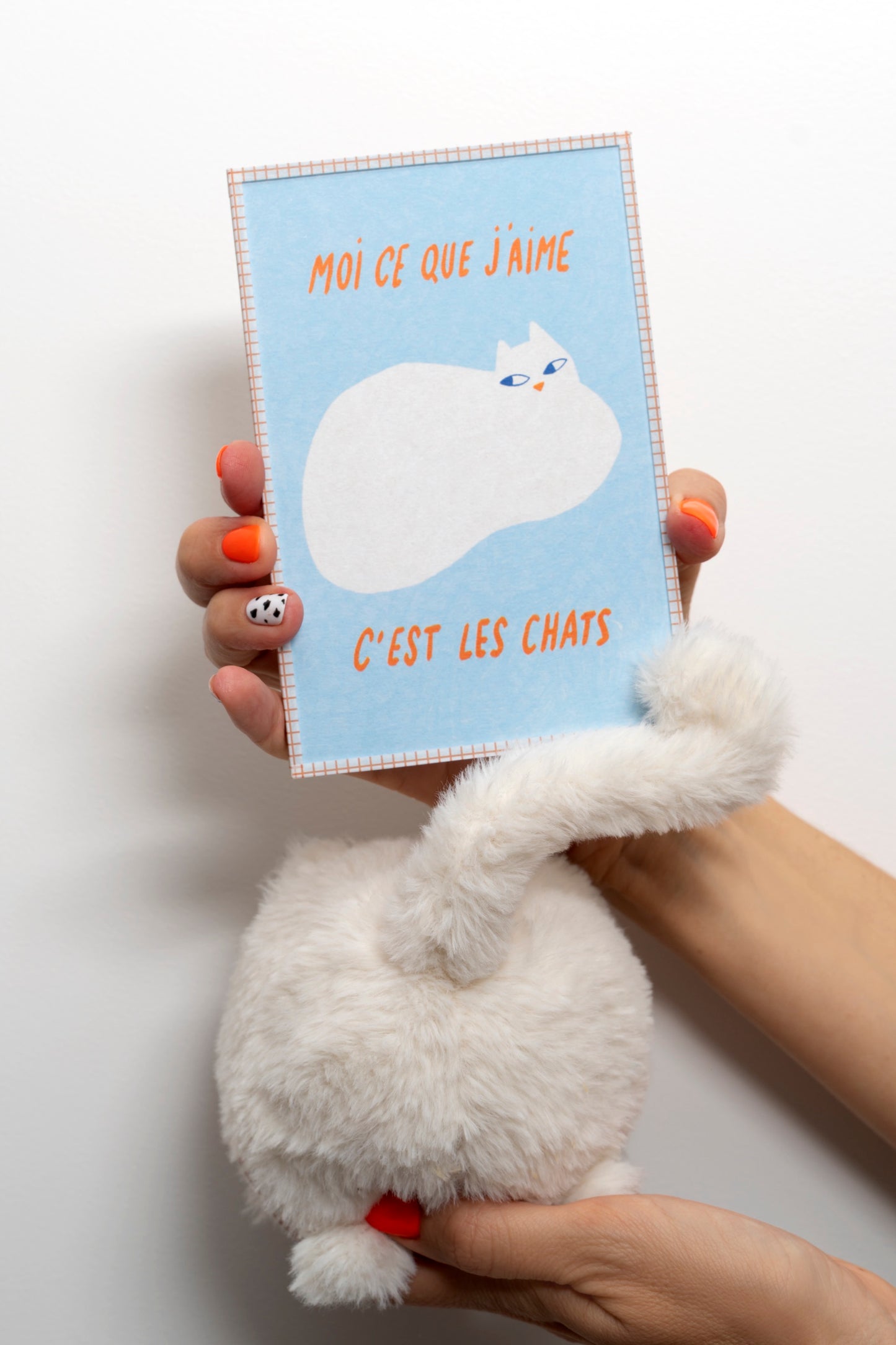 Moi ce que j’aime, c’est les Chats